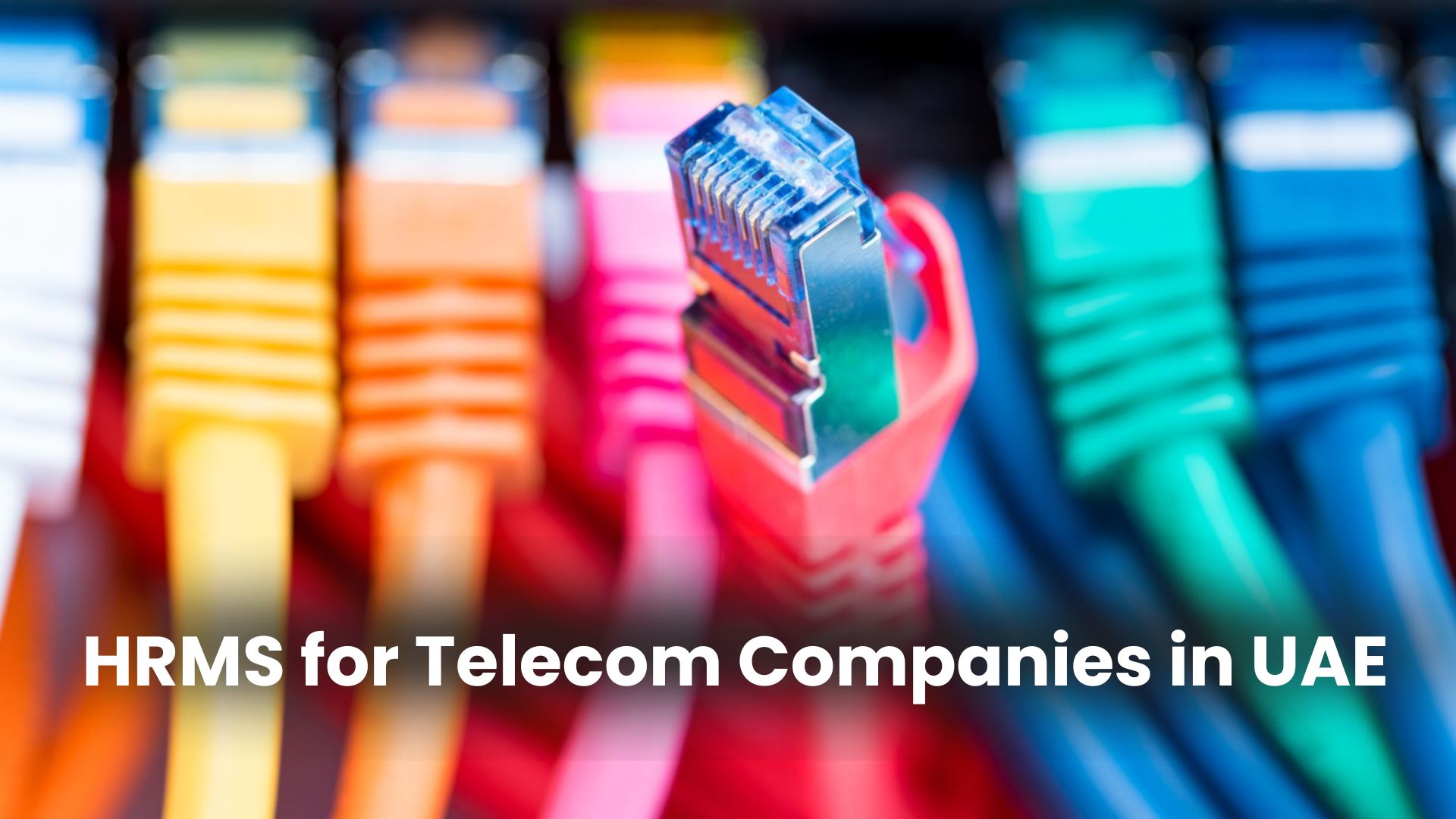 HRMS for Telecom Companies in UAE