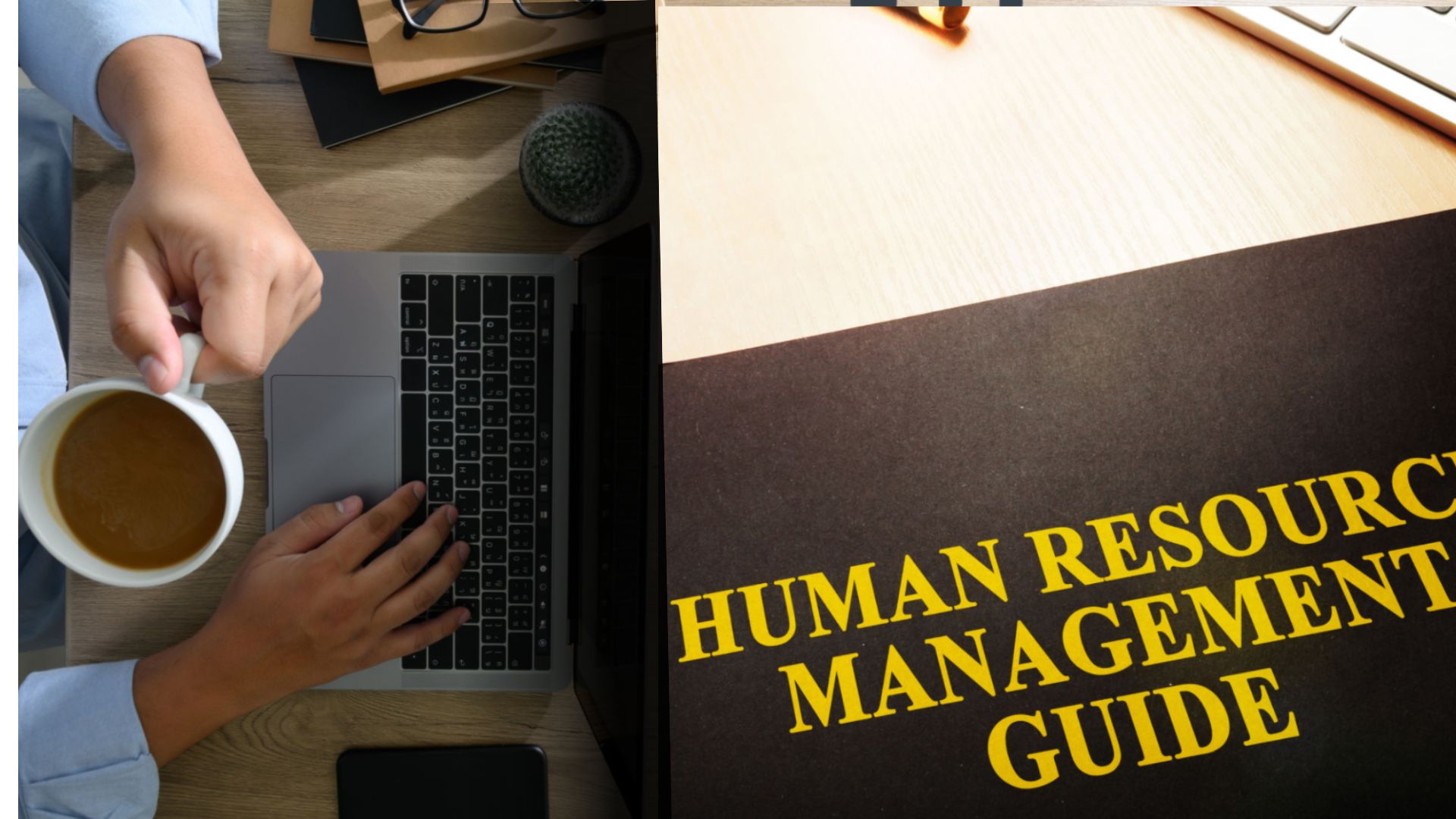 Frappe HRMS for UAE Businesses: A Beginner’s Guide to Open Source HR Software